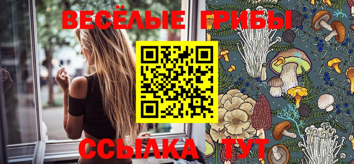Галлюциногенные грибы мицелий  Вход с VPN  Истра 