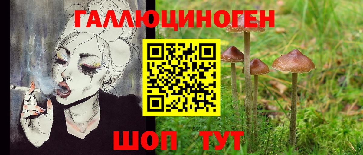 Псилоцибиновые грибы ЛСД Истра